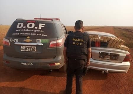 Após perseguição, DOF apreende 365 kg de maconha em estrada vicinal da MS-166