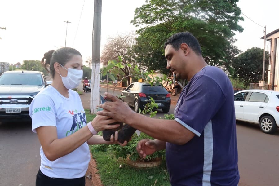 Instituto Pequeno Cidadão distribui mais de 500 mudas de árvores em Maracaju
