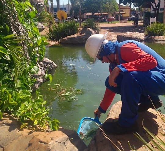 Após reclamações, prefeitura faz limpeza de cascata na praça central