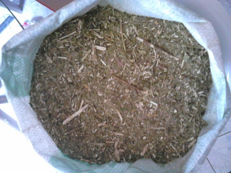 Mulher é enganada por traficantes e compra erva de tereré no lugar de maconha
