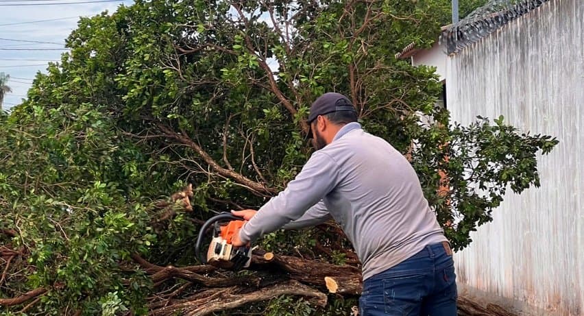 Prefeitura de Sidrolândia inicia retirada de murta conforme lei municipal de proteção à citricultura