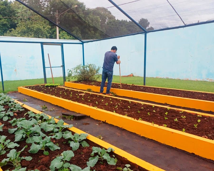 Semaa entrega mais de 800 mudas de hortaliças para fortalecer horta da APAE de Sidrolândia