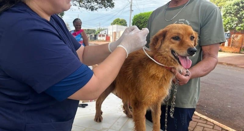 Prefeitura de Maracaju promove Semana de Conscientização e Combate à Leishmaniose com ações de prevenção e cuidado com animais